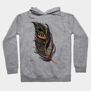 Coloful Feather Hoodie